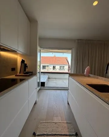 Zonnig Duinbergen *